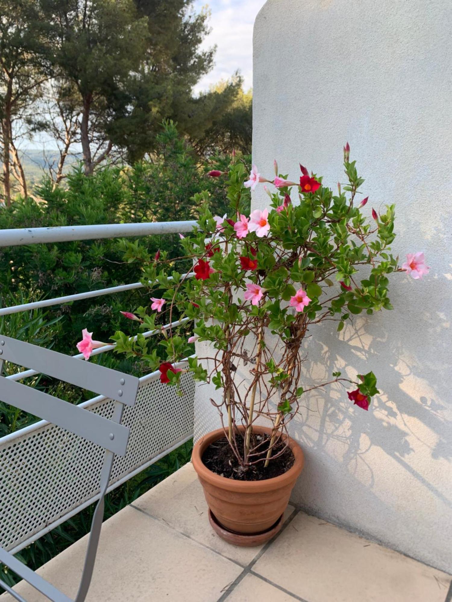 Appartement Duplex La Ciotat Esterno foto